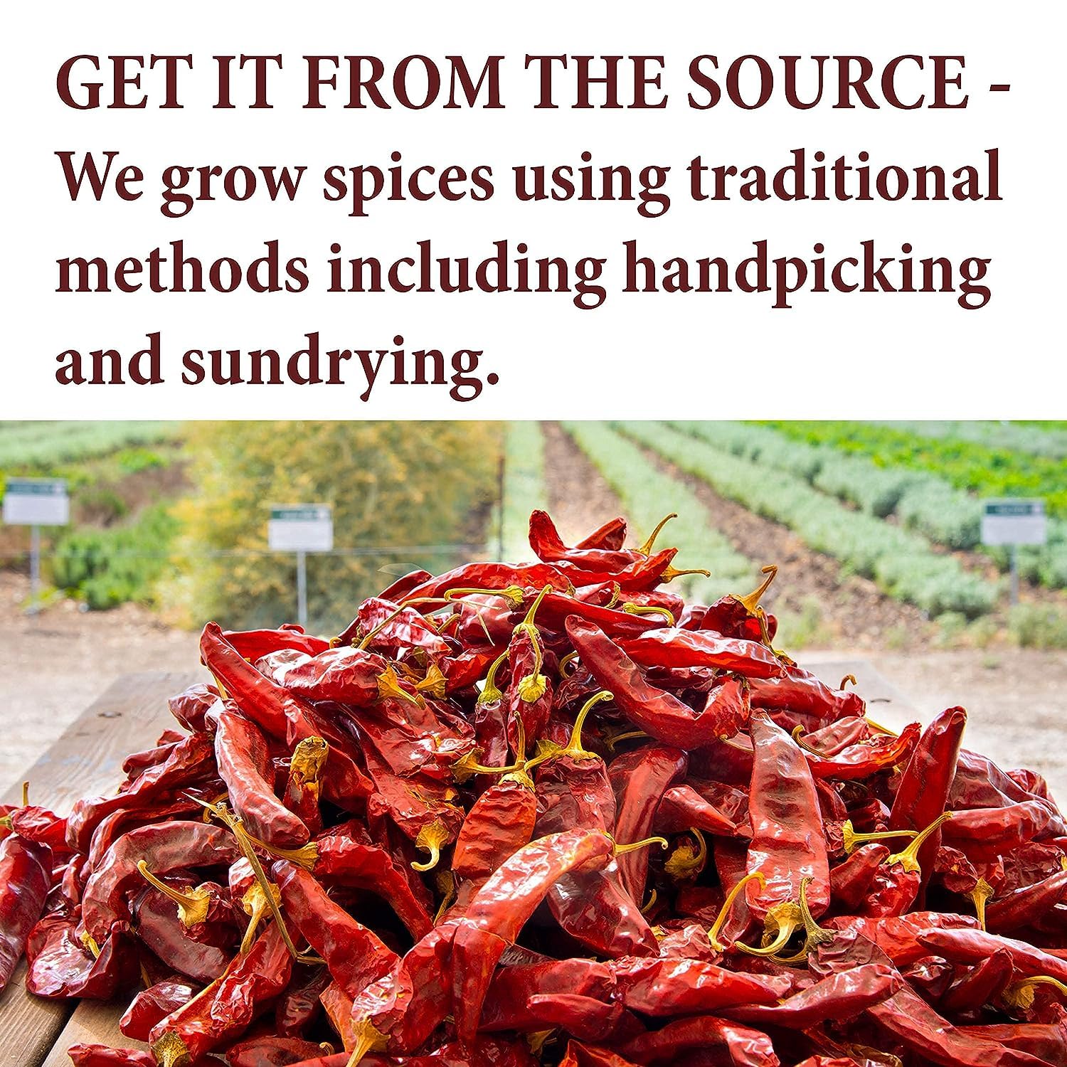 The Spice Way Szechuan Peppercorns - (4 oz) premium sichuan pepper, dried Chinese style peppercorn.