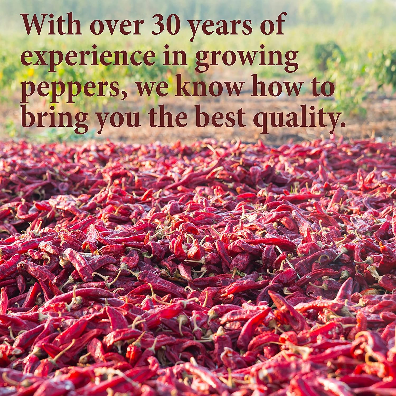 The Spice Way Pepper Powders Bundle - 4 oz each bag